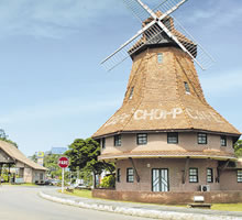 mudanças curitiba joinville