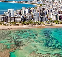 mudanças curitiba maceio