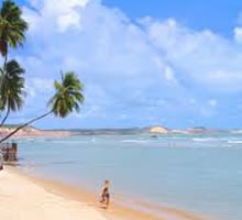 mudanças curitiba natal