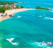 mudanças curitiba nordeste